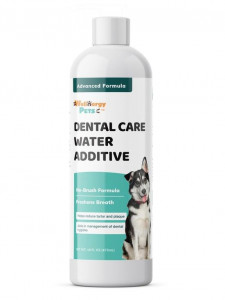 Wellnergy Pets Dental Care Combo

https://directory10.biz/listing/wellnergy-pets-dental-care-combo-321117

Make caring for your pet’s teeth, gums, and breath simple, easy, and effective with Wellnergy Pets Dental Care Combo! Our Veterinarian formulated Dental Care Wipes and Dental Water Additive for both dogs and cats are clinically proven to reduce build-up on your pet’s teeth while also freshening your pet’s breath. Our unique Dental Care Wipes formula is pre-soaked and easy to use; just take out a single cotton pad and gently wipe your pet's teeth and gums once a day for 60 seconds and you're done! For our Dental Care Water Additive, just add the recommended amount every time you refill your pet’s water bowl to easily establishes a daily routine for your pet. This Dental Care Combo makes it easier than ever to establish and maintain optimal dental health, improve oral hygiene and freshen your pet's breath!

dental wipes for cats
